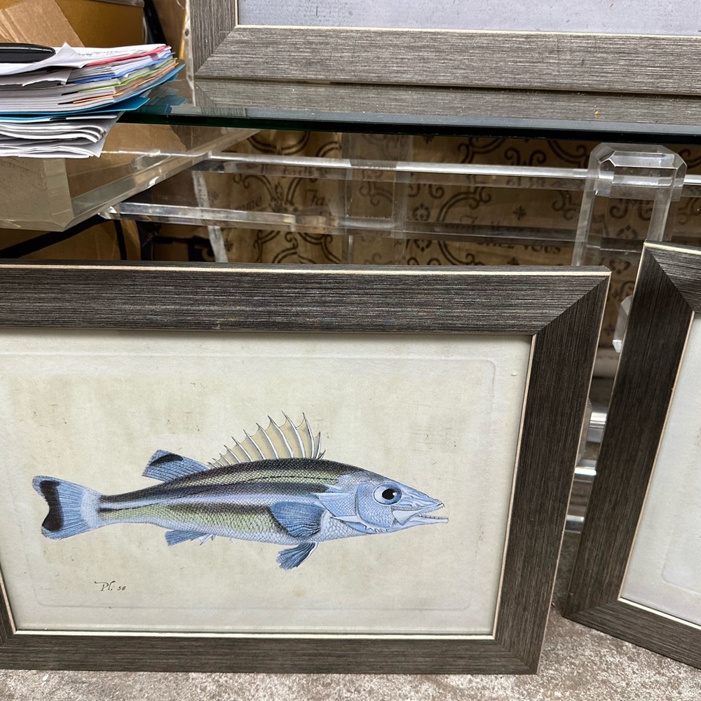 Fish 🐠 art - Picture 3 of 11